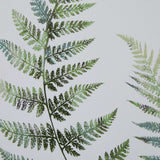 Watercolour Fern Duo In Washed Wood Frame Shades 4 Seasons