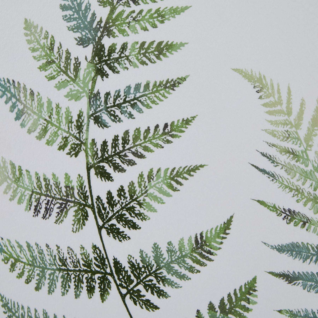 Watercolour Fern Duo In Washed Wood Frame Shades 4 Seasons