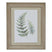 Watercolour Fern Duo In Washed Wood Frame BROWN WOOD Shades 4 Seasons
