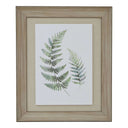 Watercolour Fern Duo In Washed Wood Frame BROWN WOOD Shades 4 Seasons