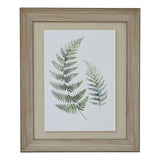 Watercolour Fern Duo In Washed Wood Frame BROWN WOOD Shades 4 Seasons