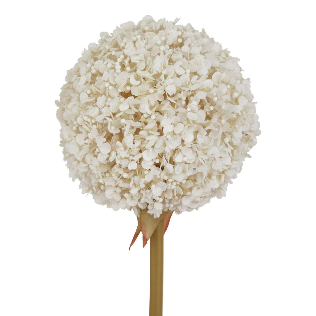 The Natural Garden Collection White Allium Shades 4 Seasons