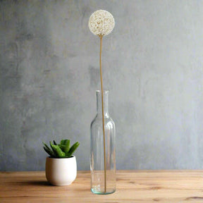 The Natural Garden Collection White Allium WHITE PLASTIC Shades 4 Seasons