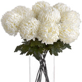 Shades 4 Seasons White Chrysanthemum Autumn Stem Shades 4 Seasons