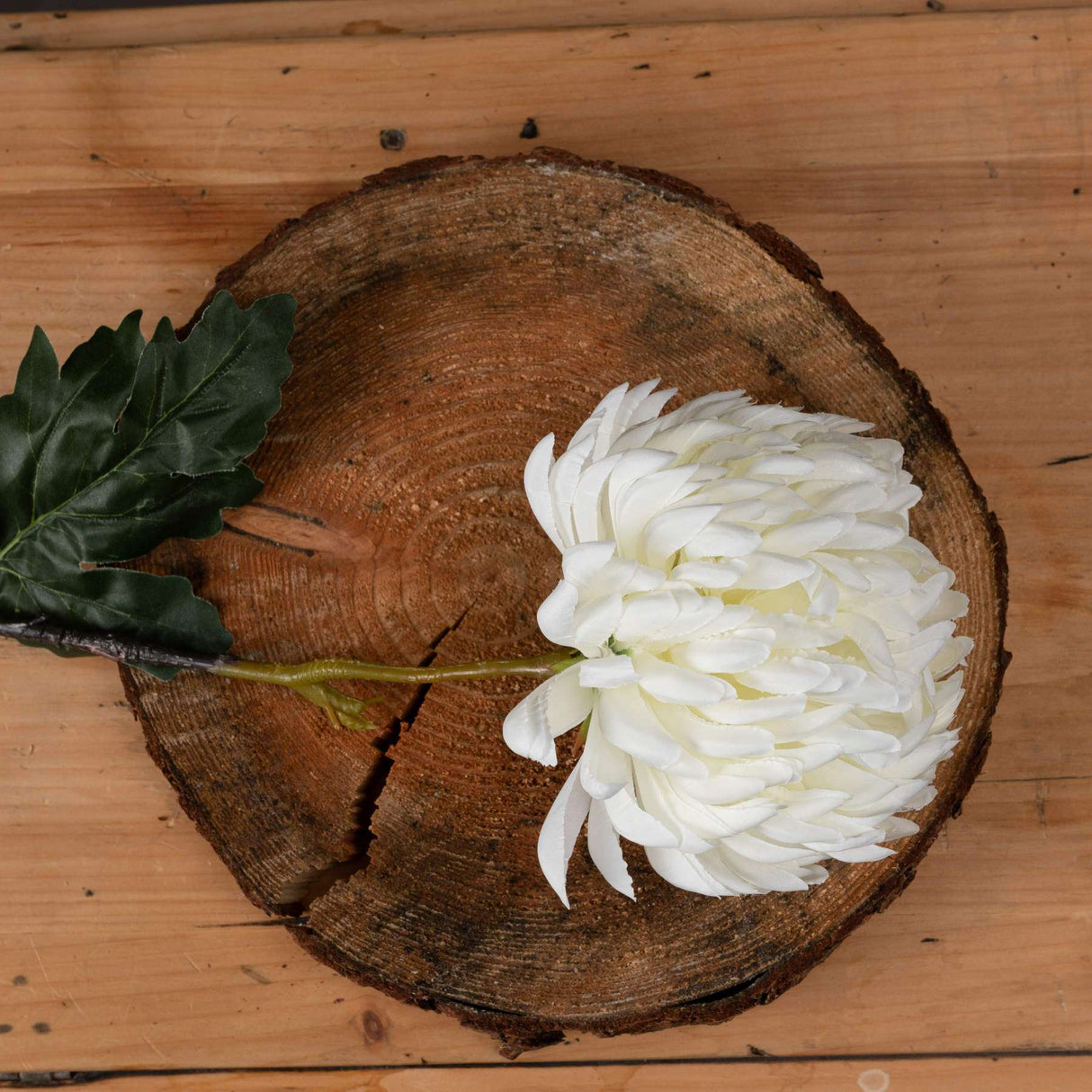 Shades 4 Seasons White Chrysanthemum Autumn Stem Shades 4 Seasons