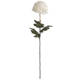 Shades 4 Seasons White Chrysanthemum Autumn Stem Shades 4 Seasons