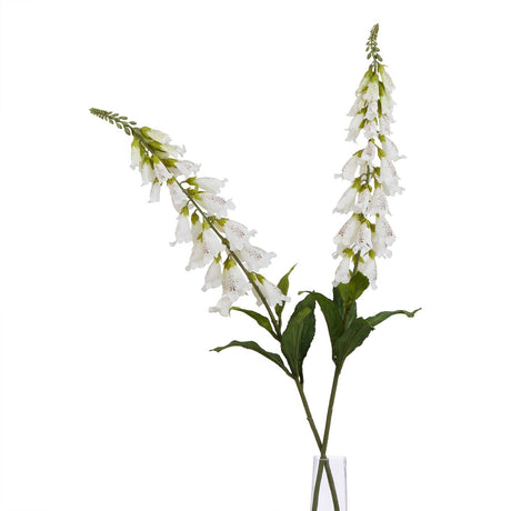 The Natural Garden Collection White Foxglove Shades 4 Seasons