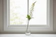 The Natural Garden Collection White Foxglove WHITE PLASTIC Shades 4 Seasons