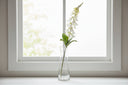 The Natural Garden Collection White Foxglove WHITE PLASTIC Shades 4 Seasons