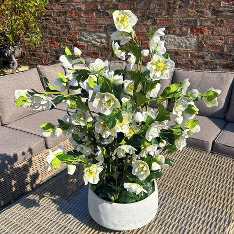 Lifelike arrangement of White Hellebore flowers in a stylish pot for home decor