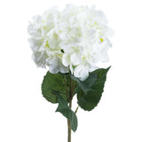 Shades 4 Seasons White Hydrangea Single Stem Flower Shades 4 Seasons