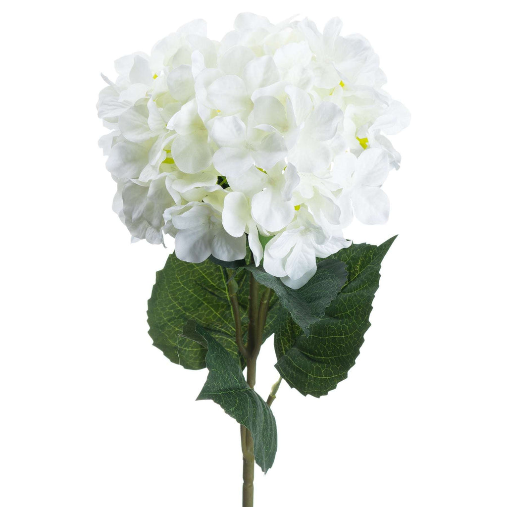 Shades 4 Seasons White Hydrangea Single Stem Flower Shades 4 Seasons