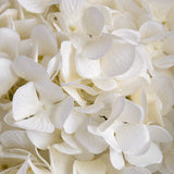 Shades 4 Seasons White Hydrangea Single Stem Flower Shades 4 Seasons