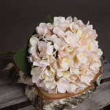 Shades 4 Seasons White Hydrangea Autumn Stem Decor Shades 4 Seasons