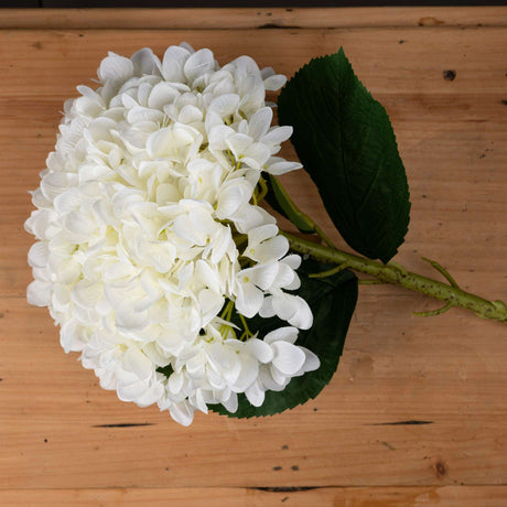 Shades 4 Seasons White Hydrangea Single Stem Flower Shades 4 Seasons