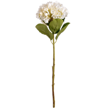 Shades 4 Seasons White Hydrangea Single Stem Flower Shades 4 Seasons