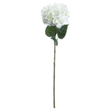 Shades 4 Seasons White Hydrangea Single Stem Flower Default Title Shades 4 Seasons