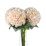 Shades 4 Seasons White Hydrangea Autumn Stem Decor Shades 4 Seasons