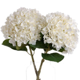 Shades 4 Seasons White Hydrangea Single Stem Flower Shades 4 Seasons