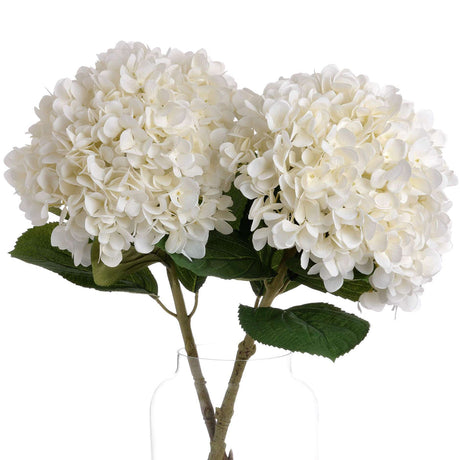 Shades 4 Seasons White Hydrangea Single Stem Flower Shades 4 Seasons