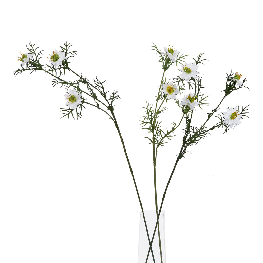 The Natural Garden Collection White Nigella Love In A Mist Shades 4 Seasons