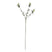 The Natural Garden Collection White Nigella Love In A Mist WHITE PLASTIC Shades 4 Seasons