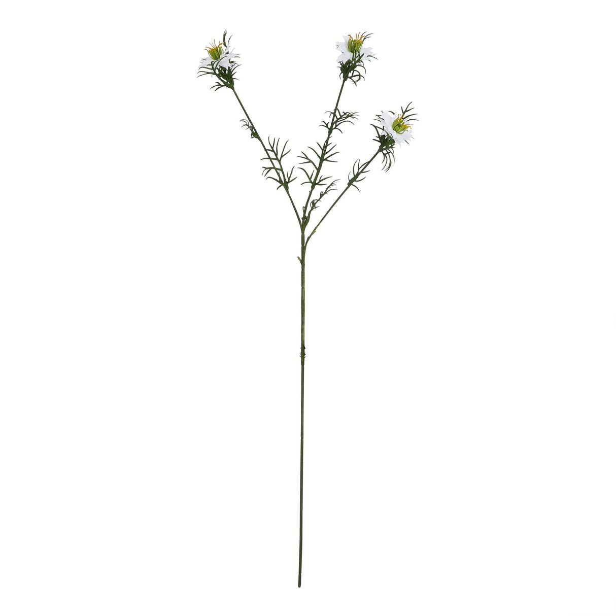 The Natural Garden Collection White Nigella Love In A Mist WHITE PLASTIC Shades 4 Seasons