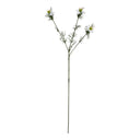 The Natural Garden Collection White Nigella Love In A Mist WHITE PLASTIC Shades 4 Seasons