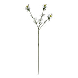The Natural Garden Collection White Nigella Love In A Mist WHITE PLASTIC Shades 4 Seasons
