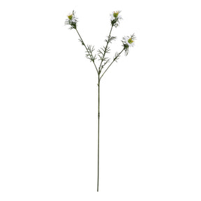The Natural Garden Collection White Nigella Love In A Mist WHITE PLASTIC Shades 4 Seasons