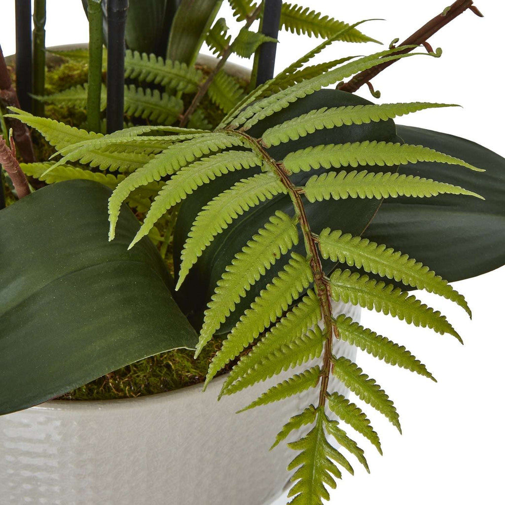 Shades 4 Seasons White Orchid Potted Flower Arrangement Shades 4 Seasons