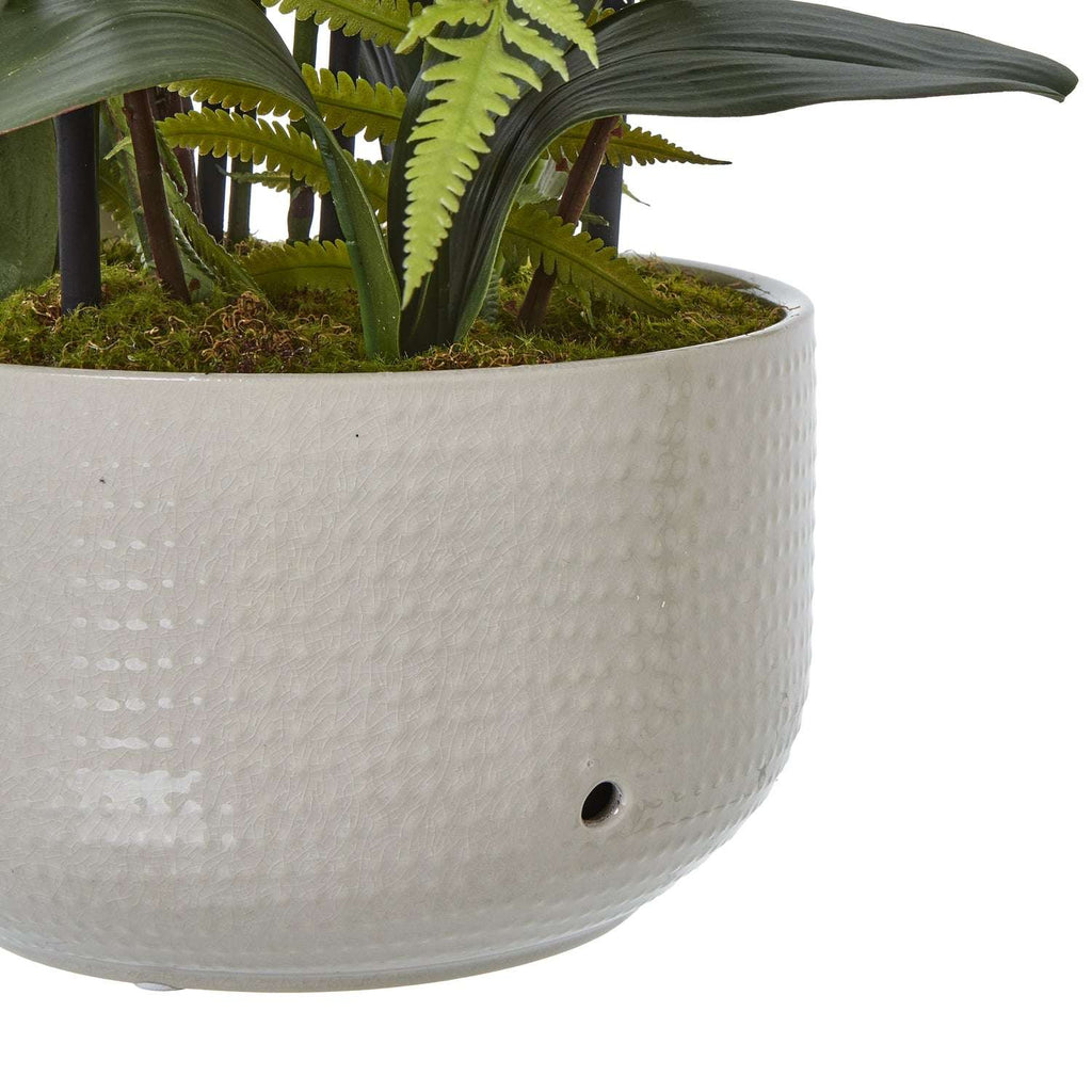 Shades 4 Seasons White Orchid Potted Flower Arrangement Shades 4 Seasons
