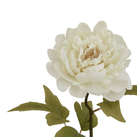The Natural Garden Collection White Peony Shades 4 Seasons