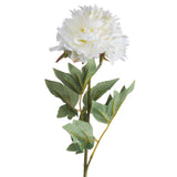 Shades 4 Seasons White Peony Single Stem Spring Flower Shades 4 Seasons