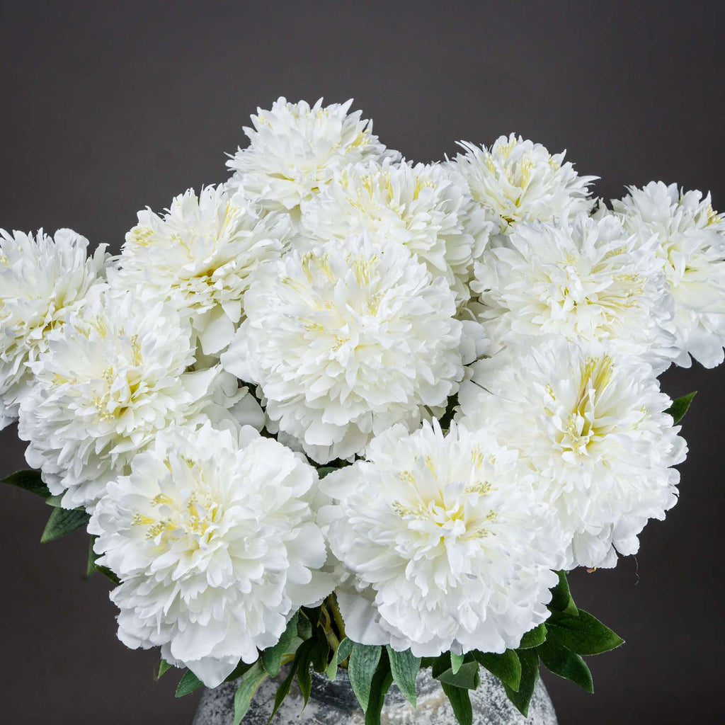 Shades 4 Seasons White Peony Single Stem Spring Flower Shades 4 Seasons