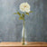 The Natural Garden Collection White Peony WHITE PLASTIC Shades 4 Seasons