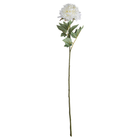 Shades 4 Seasons White Peony Single Stem Spring Flower Shades 4 Seasons
