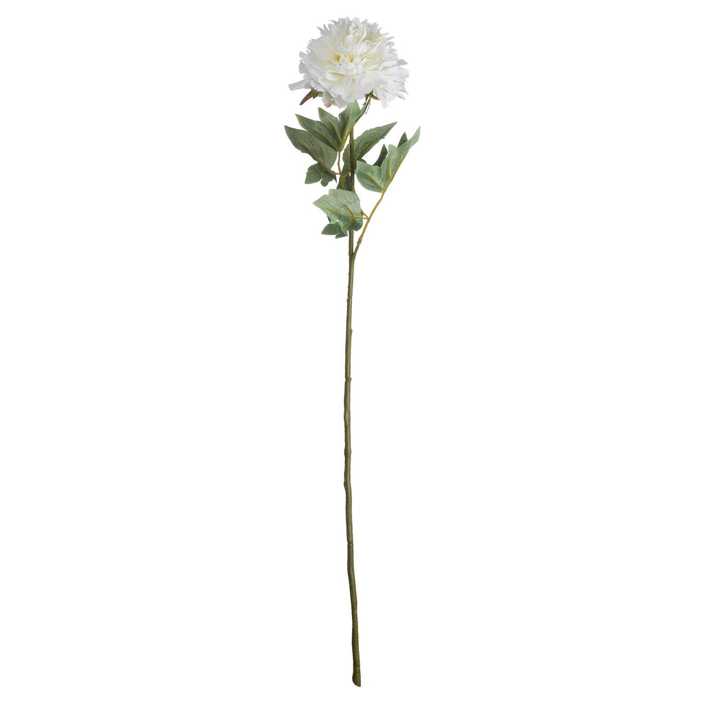 Shades 4 Seasons White Peony Single Stem Spring Flower Shades 4 Seasons
