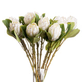 Shades 4 Seasons White Protea Single Stem Flower Default Title Shades 4 Seasons
