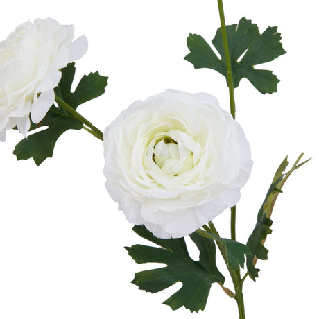 The Natural Garden Collection White Ranunculus Shades 4 Seasons