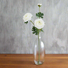 The Natural Garden Collection White Ranunculus WHITE PLASTIC Shades 4 Seasons