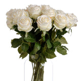 Shades 4 Seasons White Rose Single Stem Flower Shades 4 Seasons