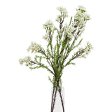 The Natural Garden Collection White Waxflower Shades 4 Seasons