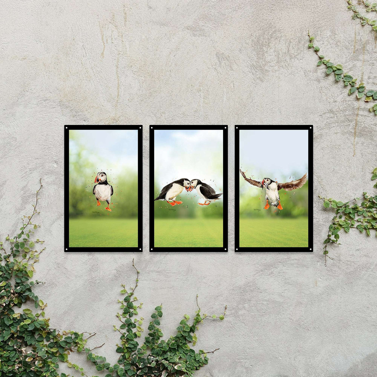 SunCatcher-UK Garden Mirror Set featuring three framed images of puffins in a natural setting