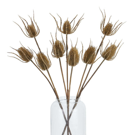 Shades 4 Seasons Triple Teasle Stem Lifelike Rustic Accent Shades 4 Seasons