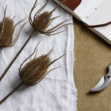 Shades 4 Seasons Triple Teasle Stem Lifelike Rustic Accent Shades 4 Seasons