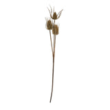 Shades 4 Seasons Triple Teasle Stem Lifelike Rustic Accent Shades 4 Seasons
