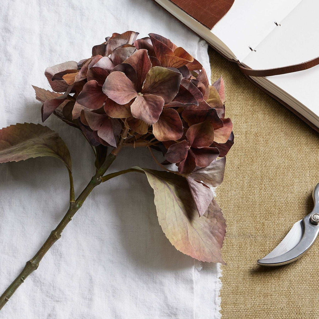 Mixed Autumn Browns Single Hydrangea Stem Shades 4 Seasons