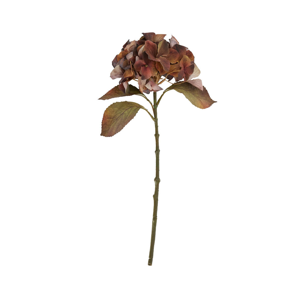 Mixed Autumn Browns Single Hydrangea Stem Shades 4 Seasons