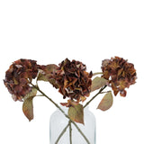 Mixed Autumn Browns Single Hydrangea Stem Shades 4 Seasons